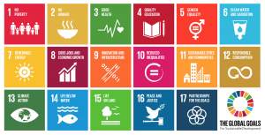 SDG Goals